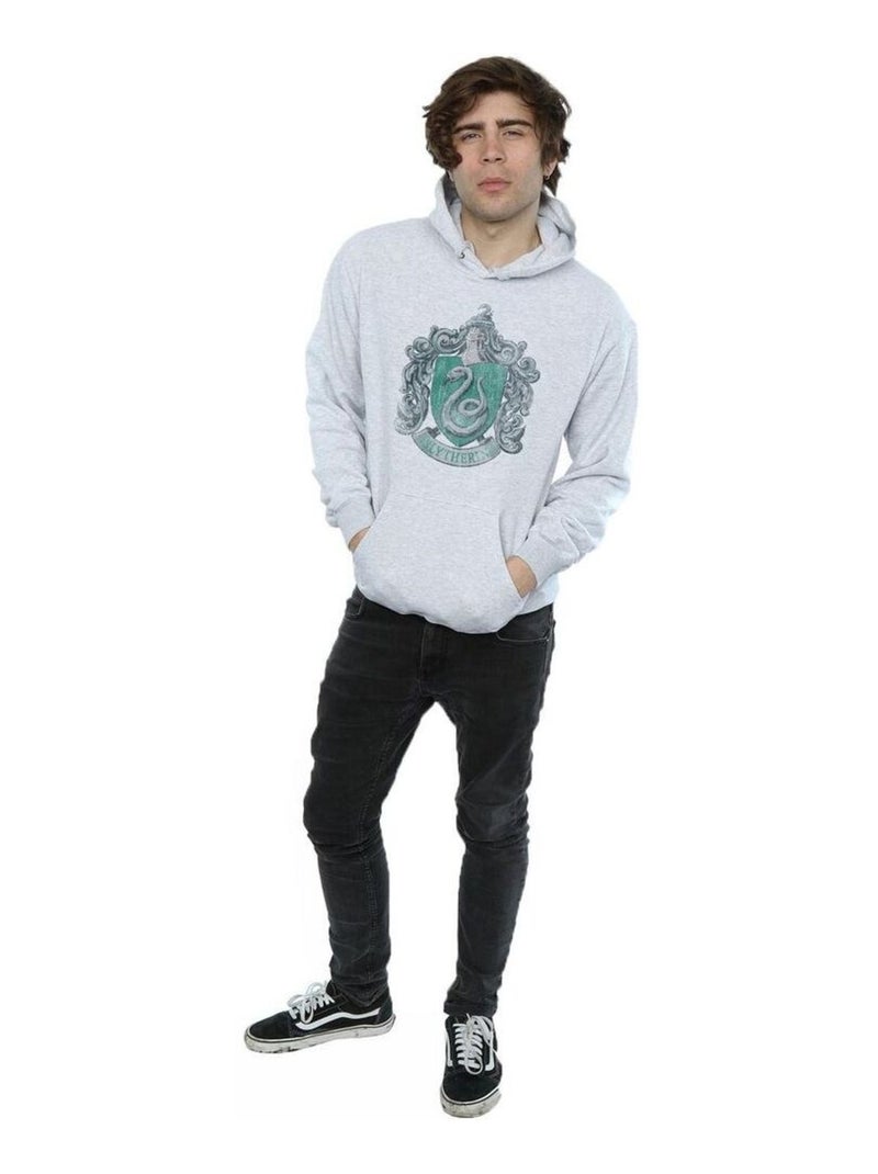 Harry Potter - Sweat à capuche motif/style Serpentard Gris chiné - Kiabi