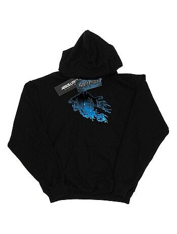 Harry Potter - Sweat à capuche