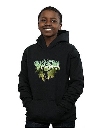 Harry Potter - Sweat à capuche