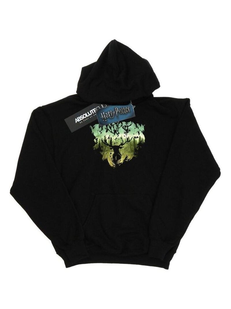 Harry Potter - Sweat à capuche Noir - Kiabi