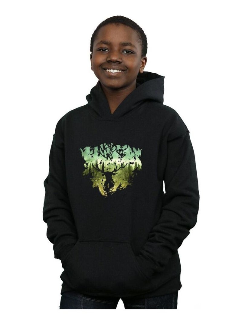Harry Potter - Sweat à capuche Noir - Kiabi