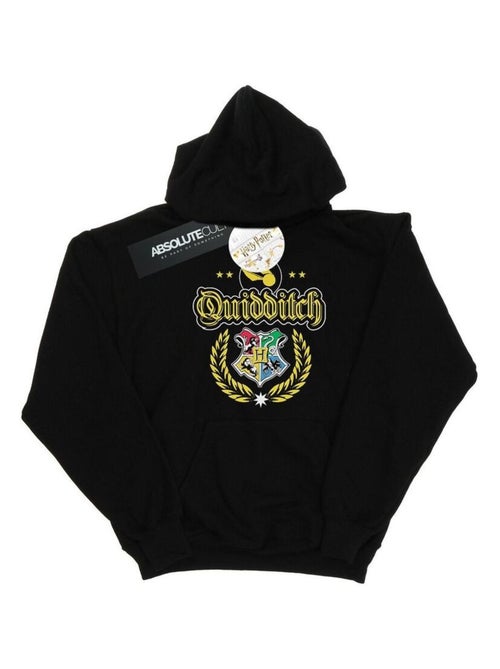 Harry Potter - Sweat à capuche QUIDDITCH - Kiabi