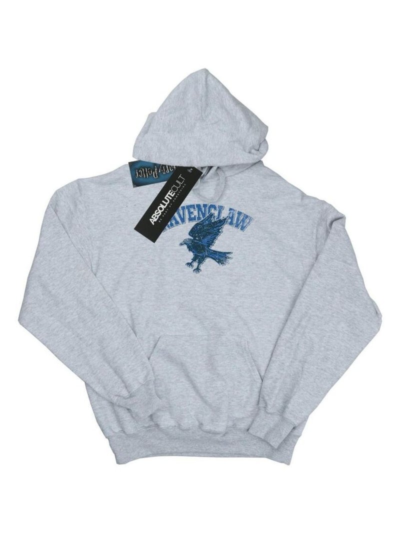 Harry Potter - Sweat à capuche RAVENCLAW Gris chiné - Kiabi