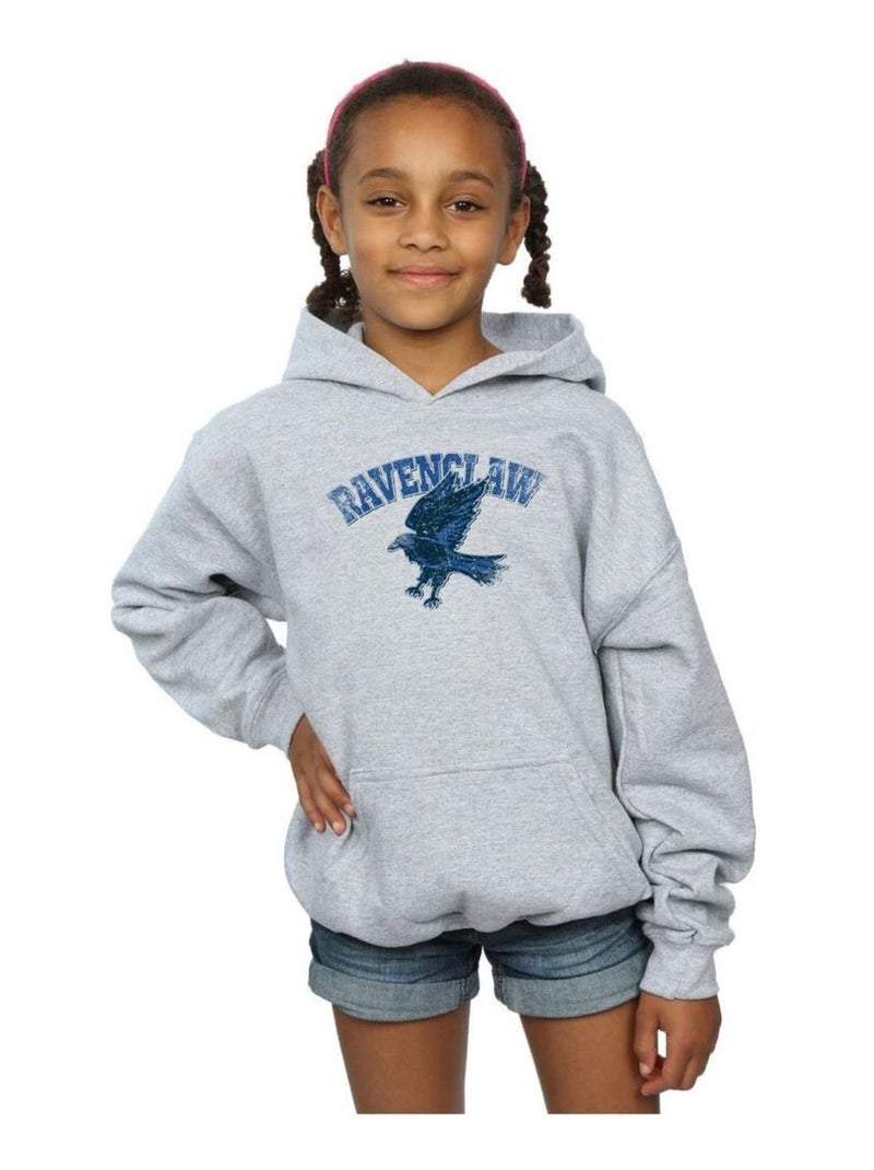 Harry Potter - Sweat à capuche RAVENCLAW Gris chiné - Kiabi