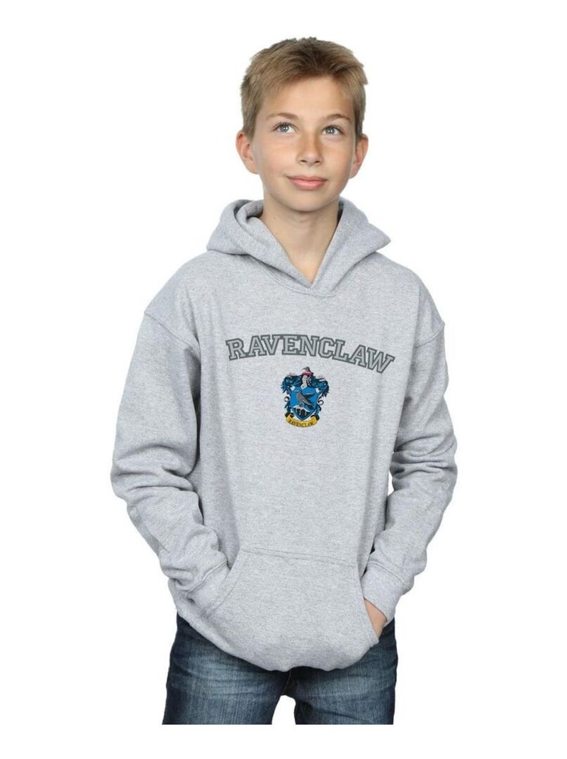 Harry Potter - Sweat à capuche RAVENCLAW Gris chiné - Kiabi