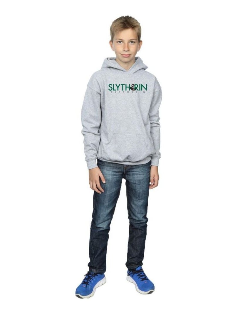 Harry Potter - Sweat à capuche SLYTHERIN Gris chiné - Kiabi