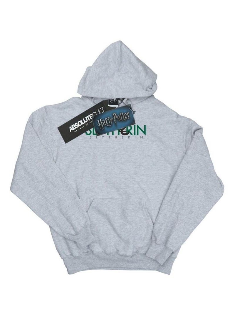 Harry Potter - Sweat à capuche SLYTHERIN Gris chiné - Kiabi