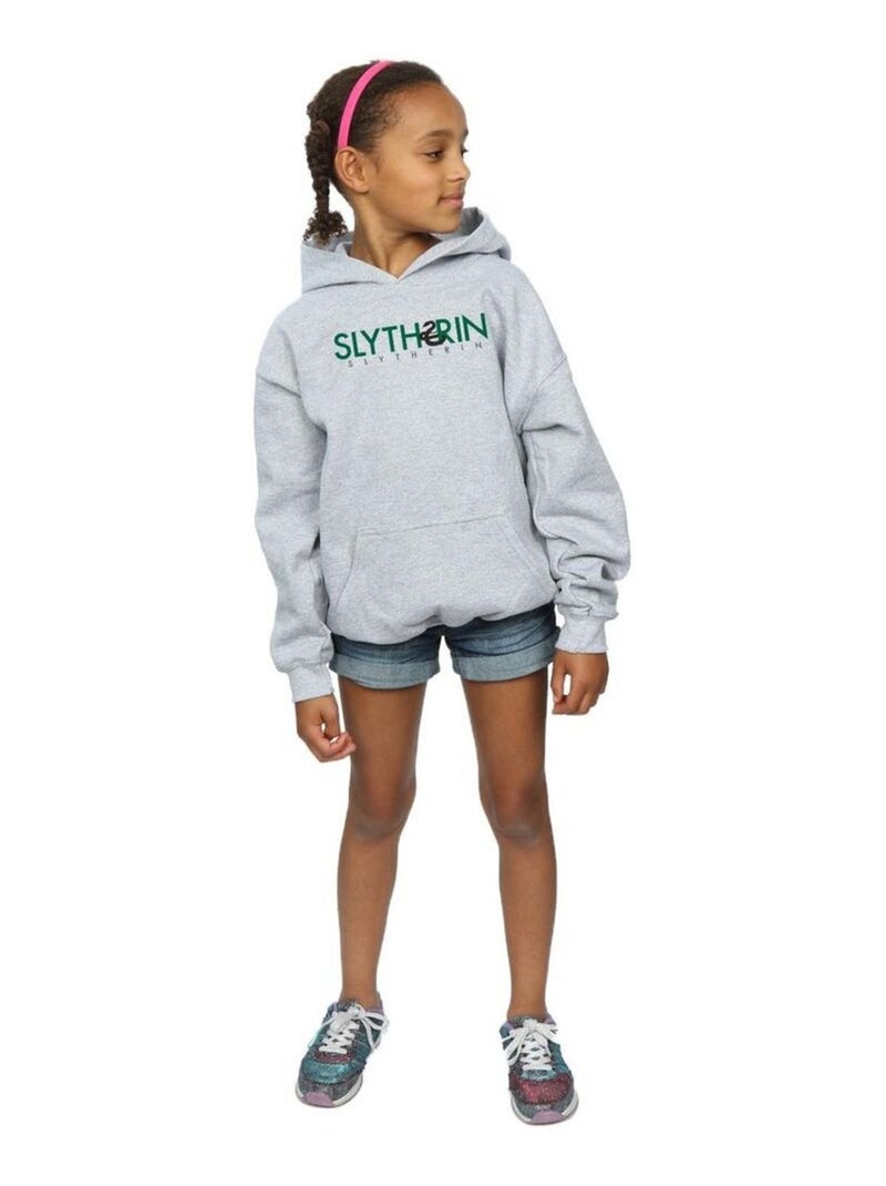 Harry Potter - Sweat à capuche SLYTHERIN Gris chiné - Kiabi