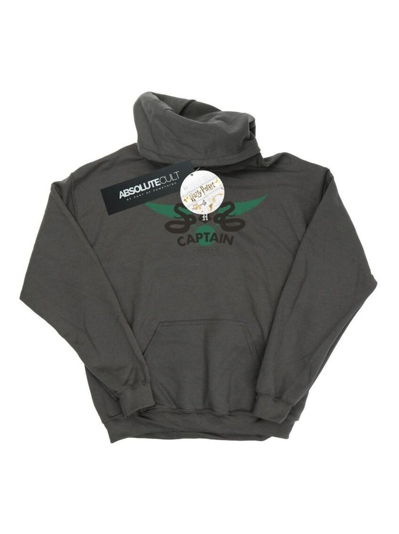 Harry Potter - Sweat à capuche SLYTHERIN Gris Noir - Kiabi