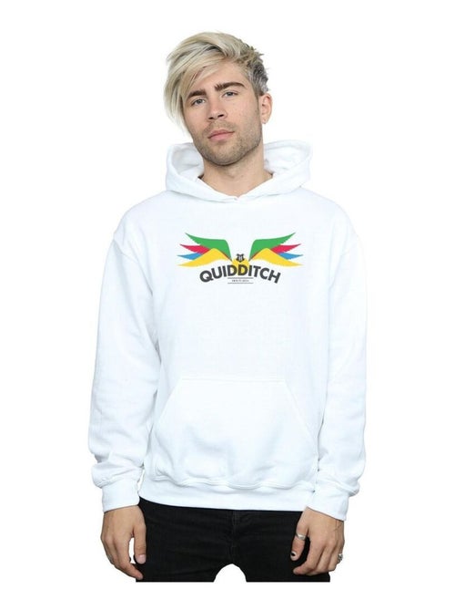 Harry Potter - Sweat à capuche SNITCH - Kiabi