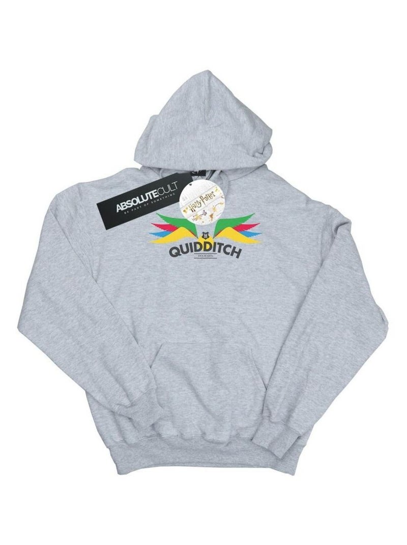 Harry Potter - Sweat à capuche SNITCH Gris chiné - Kiabi