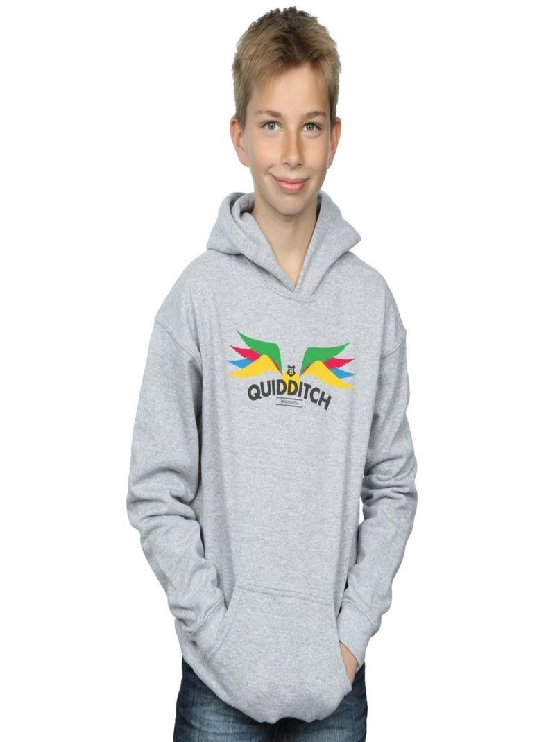 Harry Potter - Sweat à capuche SNITCH Gris chiné - Kiabi