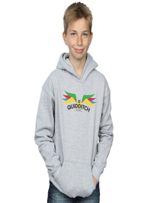 Harry Potter - Sweat à capuche SNITCH - Kiabi Harry Potter - Sweat à capuche SNITCH - Kiabi