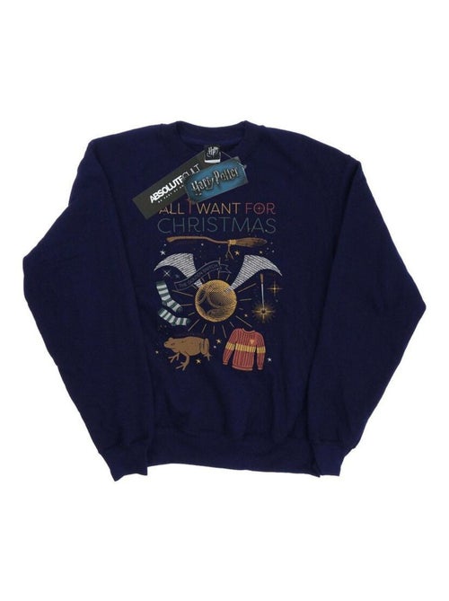 Harry Potter - Sweat ALL WANT FOR - Kiabi