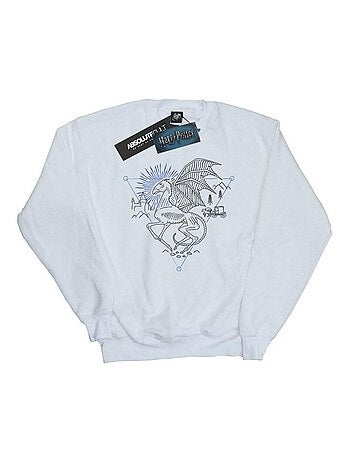 Harry Potter - Sweat