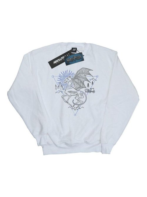 Harry Potter - Sweat - Kiabi Harry Potter - Sweat - Kiabi