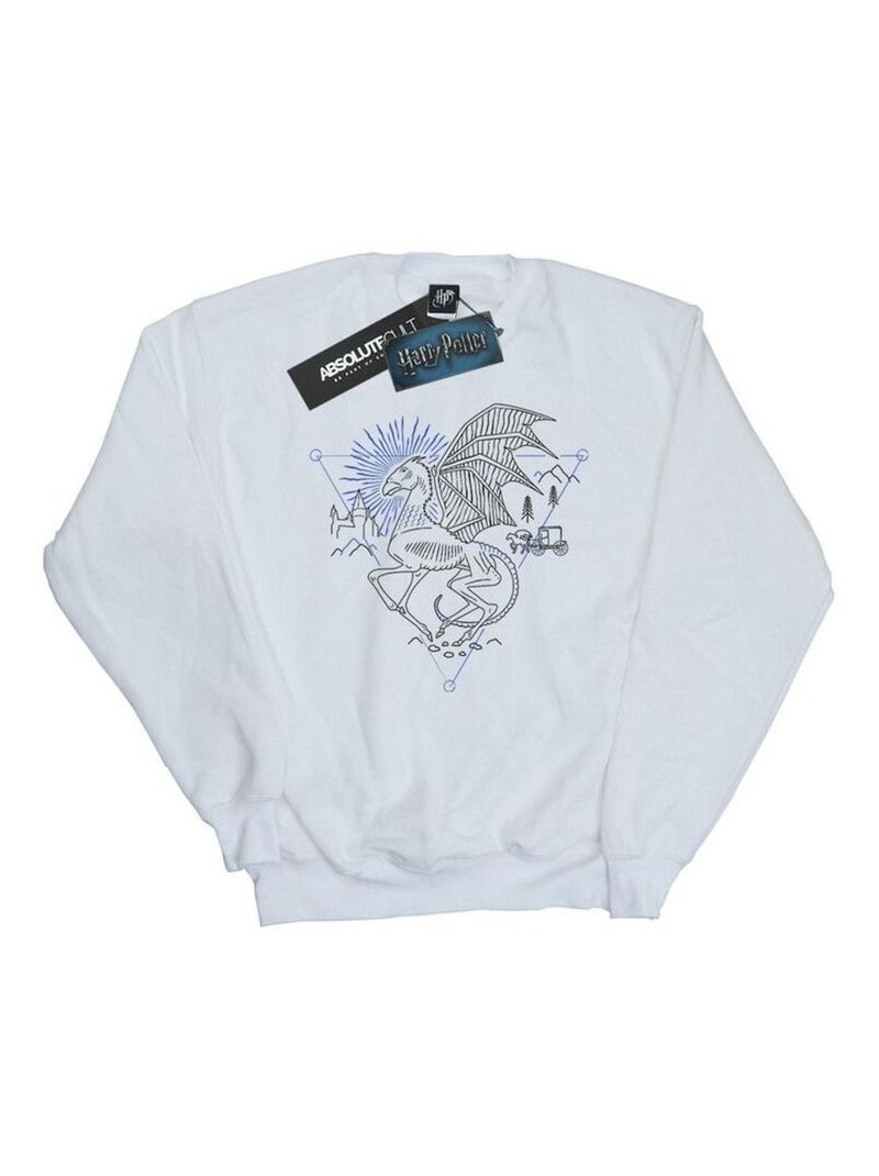 Harry Potter - Sweat Blanc - Kiabi