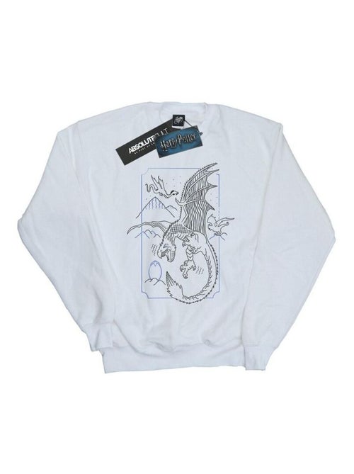 Harry Potter - Sweat - Kiabi