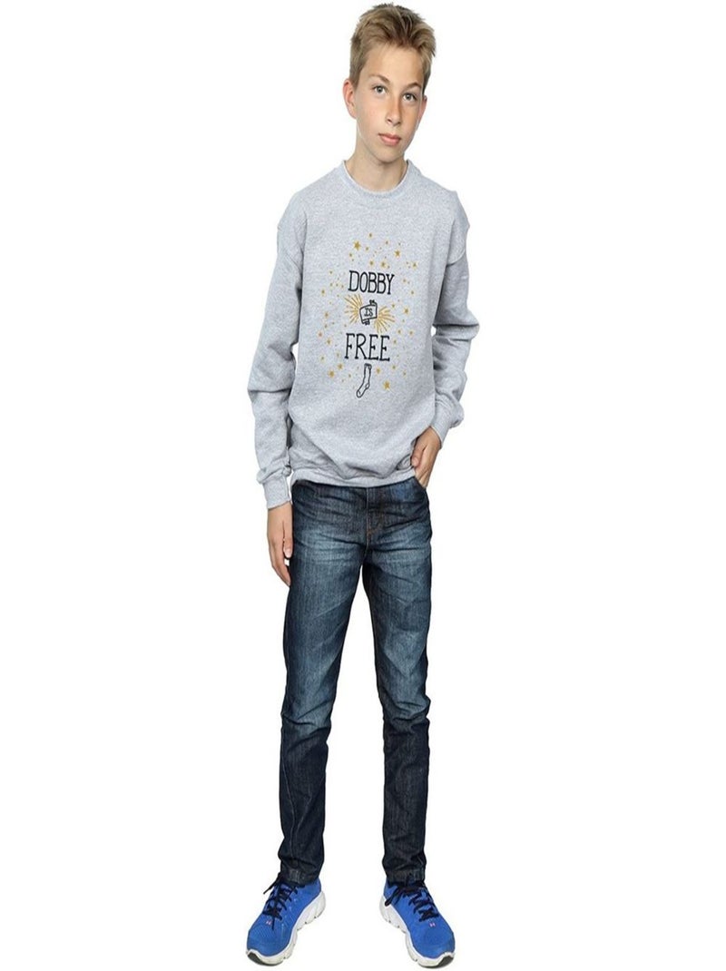 Harry Potter - Sweat DOBBY IS FREE Gris chiné - Kiabi