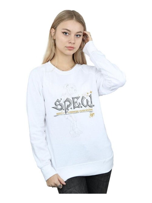 Harry Potter - Sweat ELFISH WELFARE - Kiabi