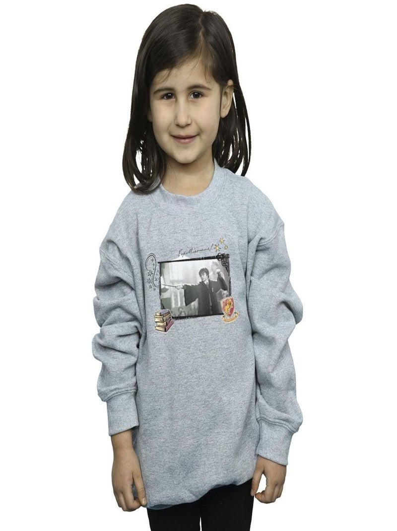 Harry Potter - Sweat EXPELLIARMUS Gris chiné - Kiabi