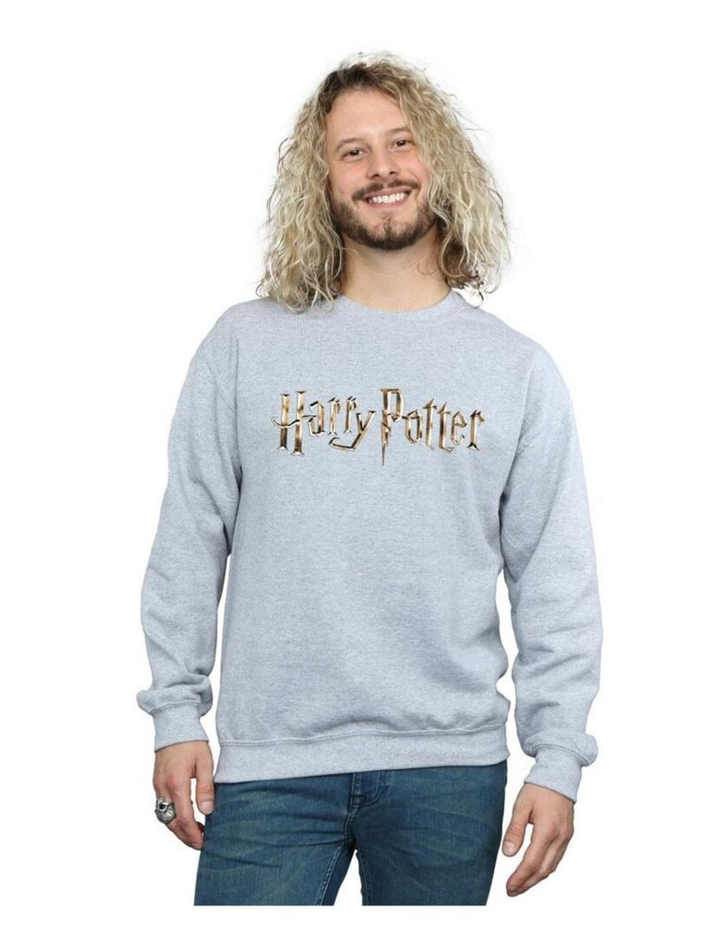 Harry Potter - Sweat Gris chiné - Kiabi