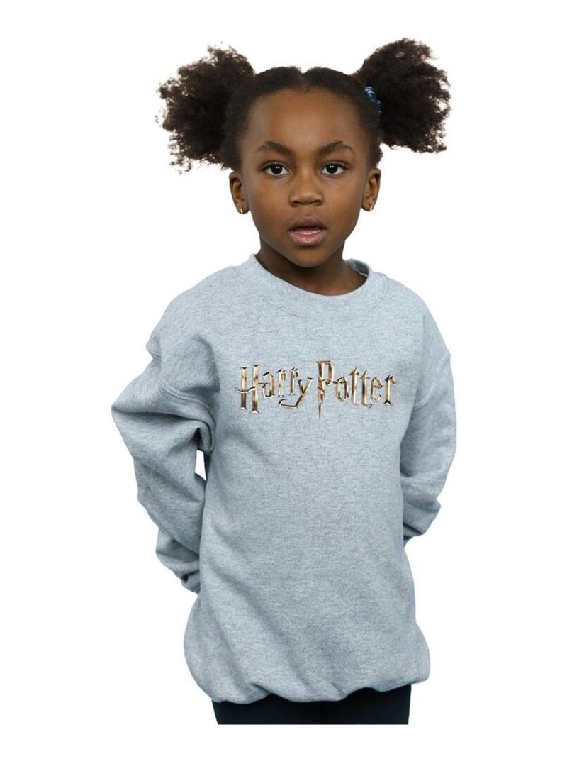 Harry Potter - Sweat Gris chiné - Kiabi