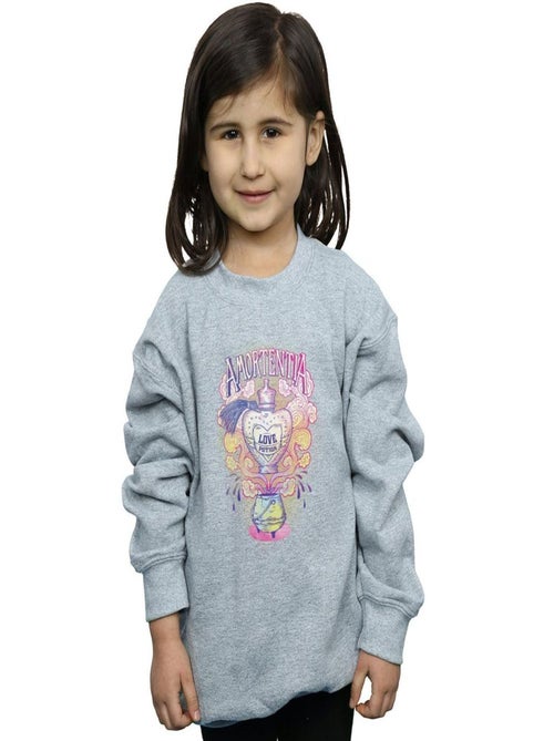 Harry Potter - Sweat - Kiabi