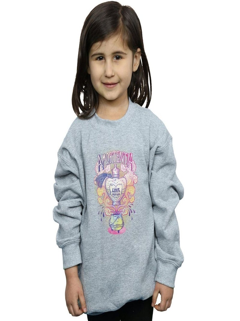 Harry Potter - Sweat Gris chiné - Kiabi