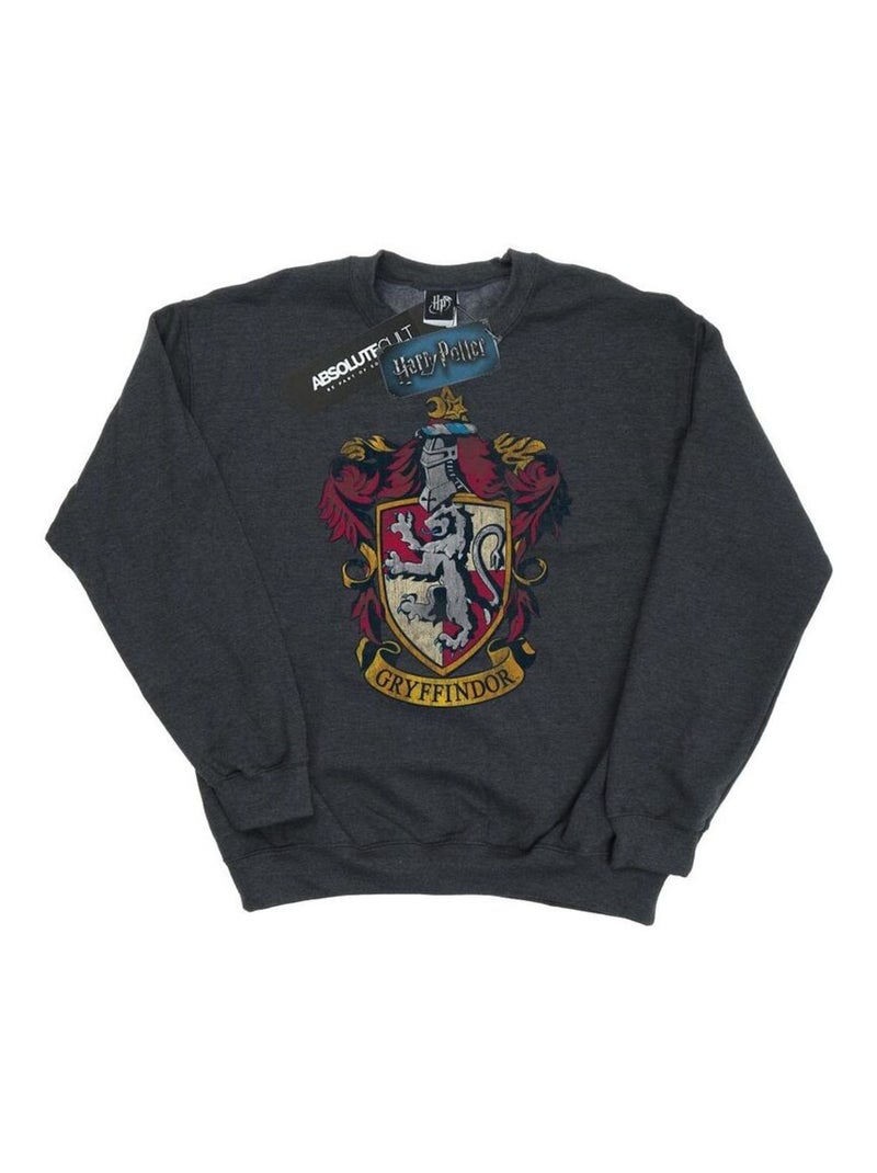 Harry Potter - Sweat Gris foncé - Kiabi