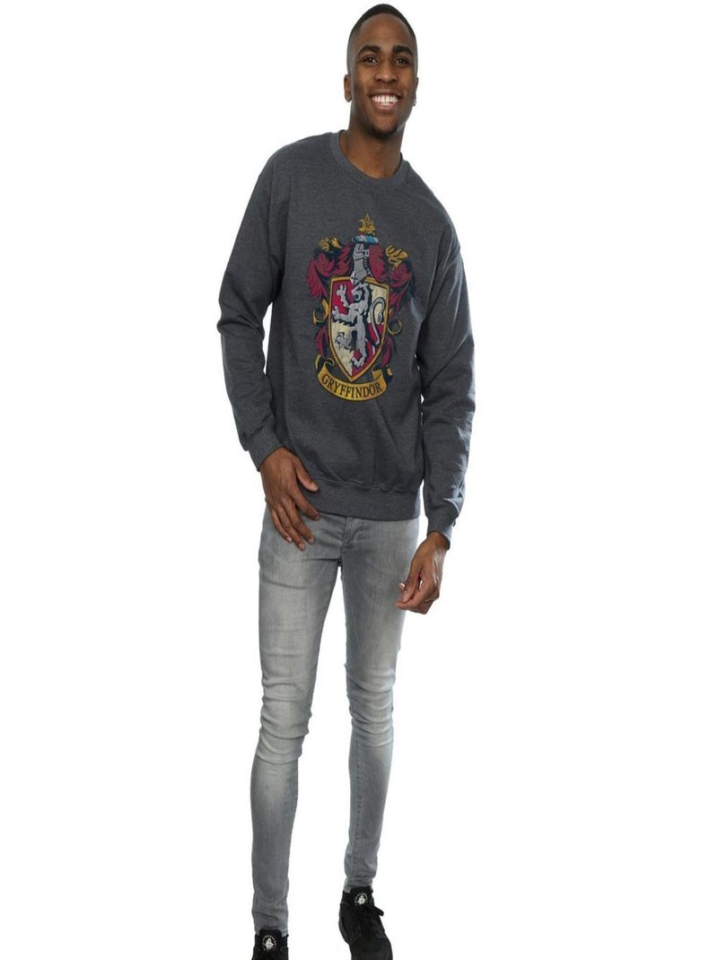 Harry Potter - Sweat Gris foncé - Kiabi