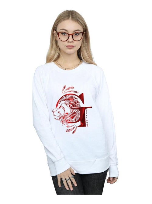 Harry Potter - Sweat GRYFFINDOR - Kiabi