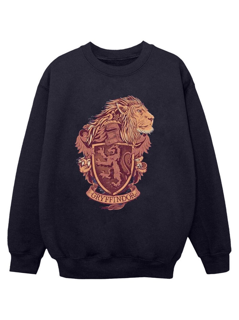 Harry Potter - Sweat GRYFFINDOR Bleu marine - Kiabi
