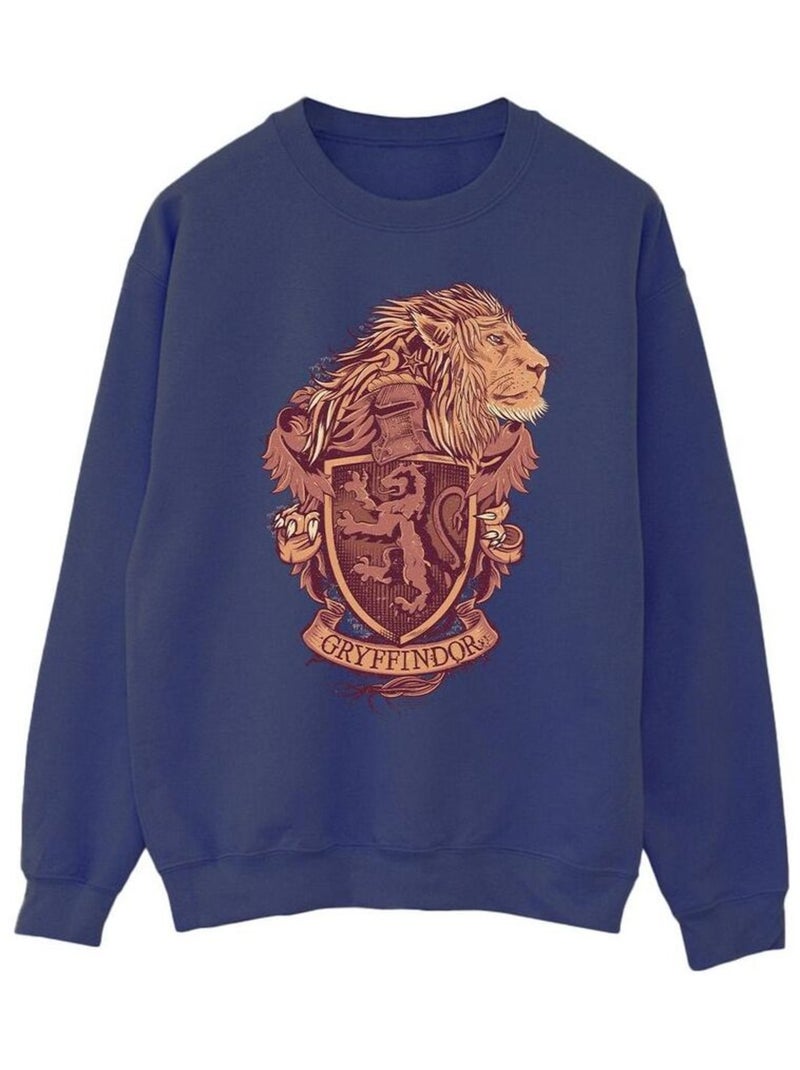 Harry Potter - Sweat GRYFFINDOR Bleu marine - Kiabi