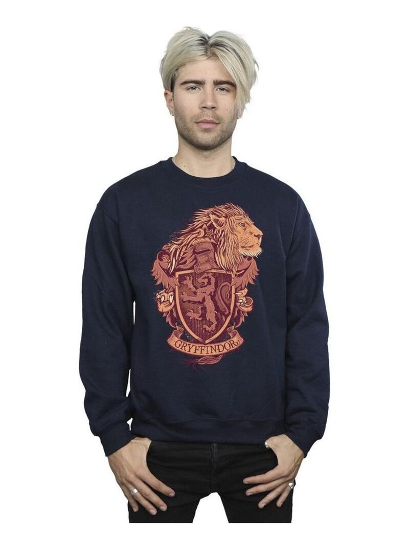 Harry Potter - Sweat GRYFFINDOR Bleu marine - Kiabi