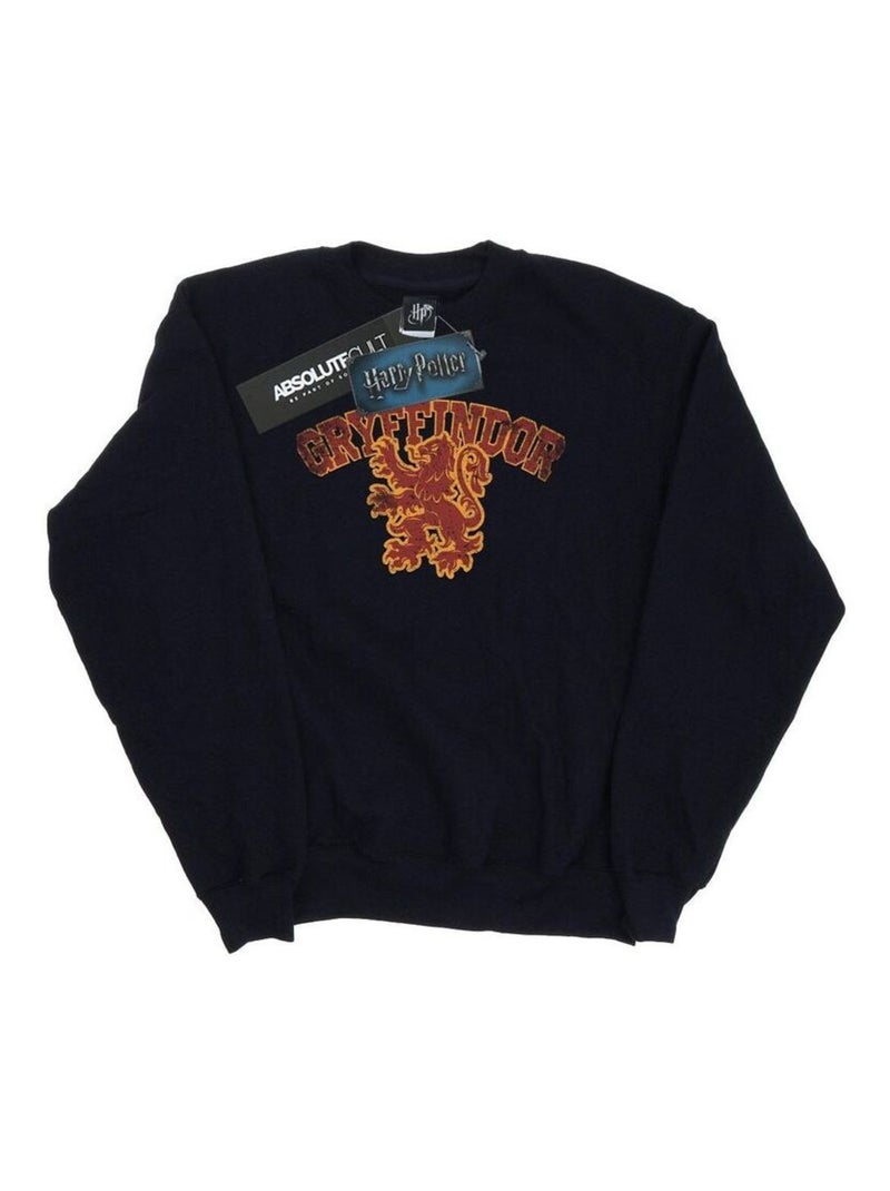 Harry Potter - Sweat GRYFFINDOR Noir - Kiabi