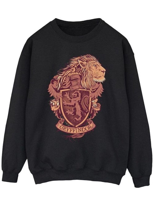 Harry Potter - Sweat GRYFFINDOR - Kiabi