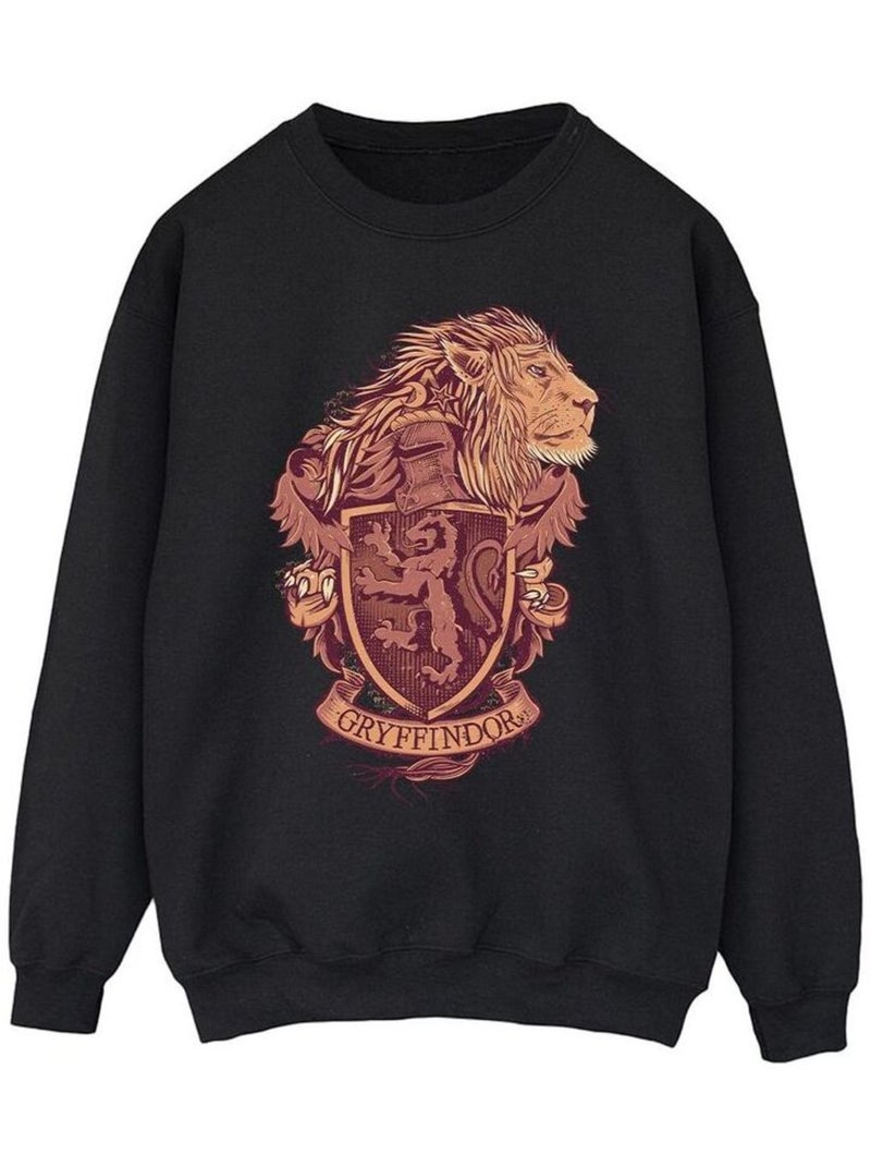 Harry Potter - Sweat GRYFFINDOR Noir - Kiabi
