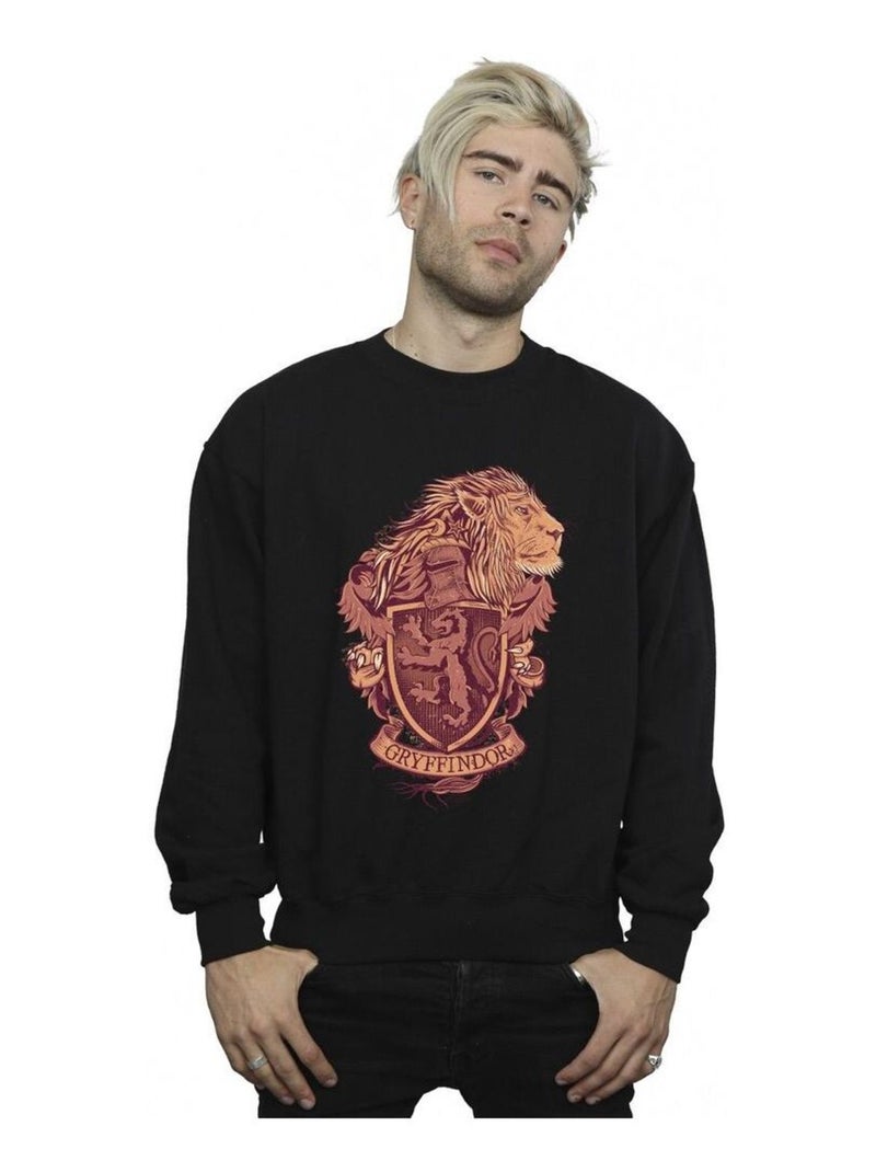 Harry Potter - Sweat GRYFFINDOR Noir - Kiabi