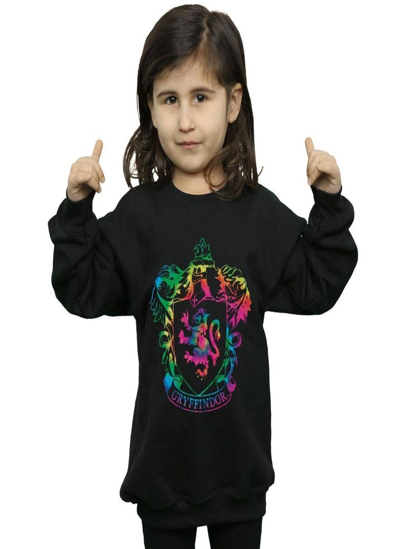 Harry Potter - Sweat GRYFFINDOR Noir - Kiabi