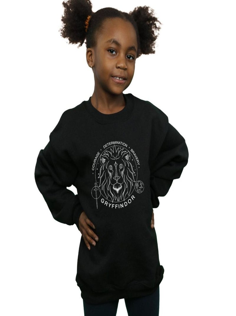 Harry Potter - Sweat GRYFFINDOR Noir - Kiabi