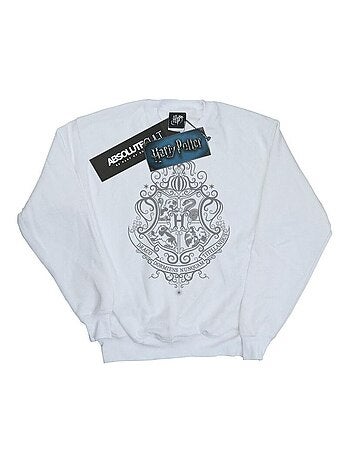Harry Potter - Sweat HOGWARTS DRACO DORMIENS