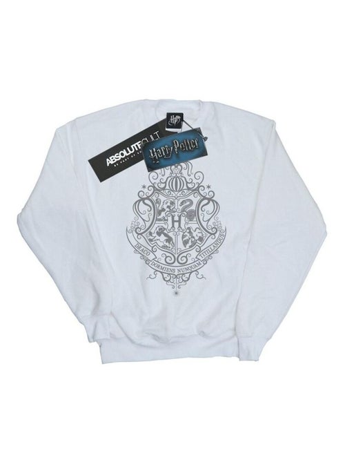 Harry Potter - Sweat HOGWARTS DRACO DORMIENS - Kiabi Harry Potter - Sweat HOGWARTS DRACO DORMIENS - Kiabi