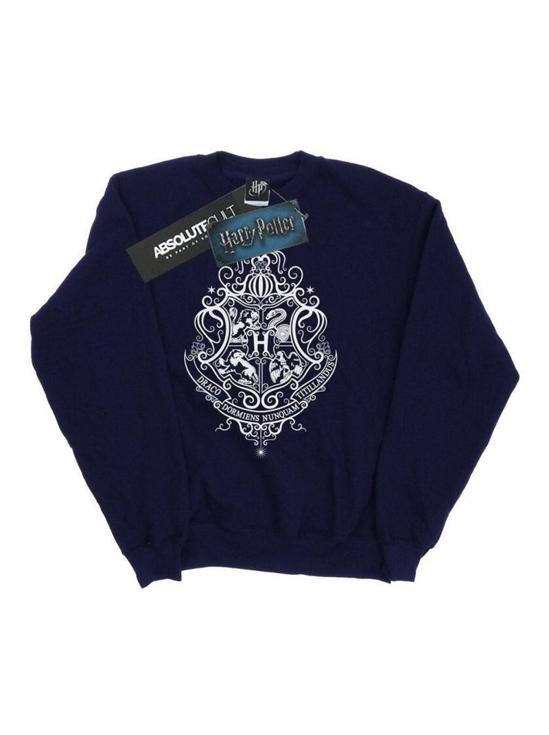 Harry Potter - Sweat HOGWARTS DRACO DORMIENS Bleu marine - Kiabi