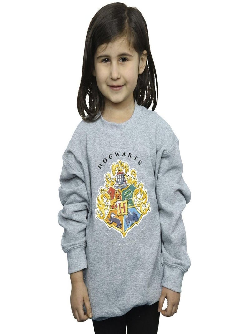 Harry Potter - Sweat HOGWARTS Gris chiné - Kiabi