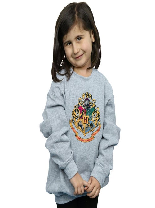 Harry Potter - Sweat HOGWARTS - Kiabi