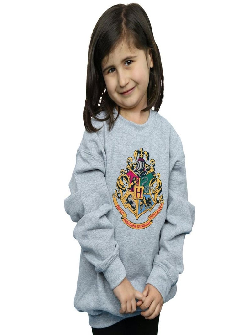 Harry Potter - Sweat HOGWARTS Gris chiné - Kiabi