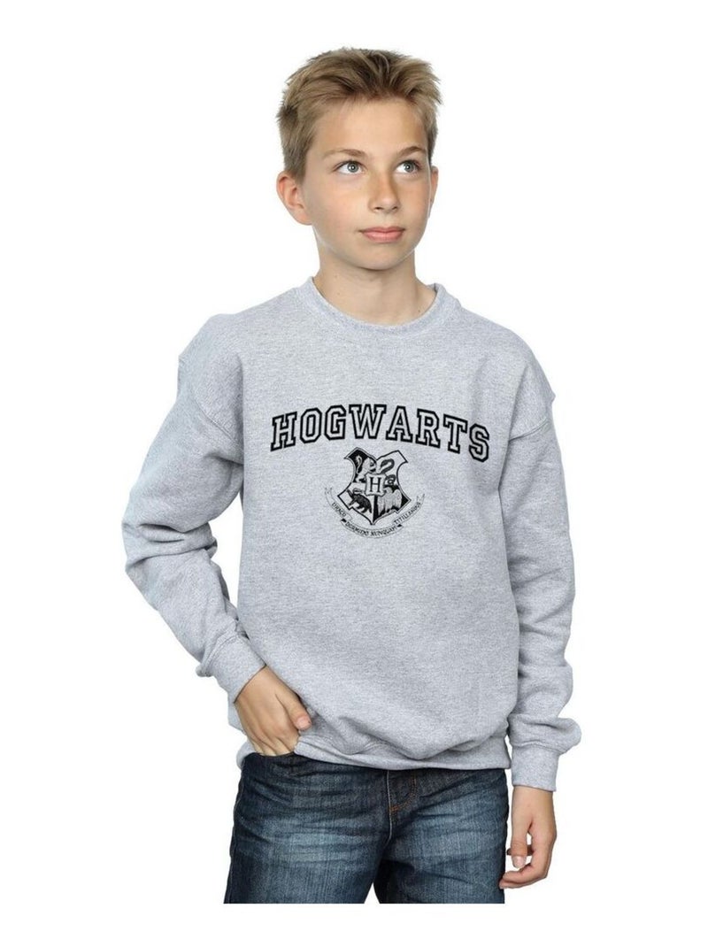 Harry Potter - Sweat HOGWARTS Gris chiné - Kiabi