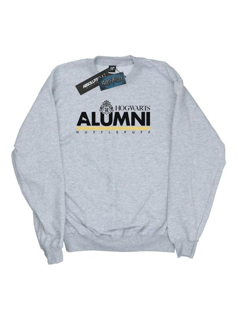 Harry Potter - Sweat HOGWARTS HUFFLEPUFF Gris chiné - Kiabi