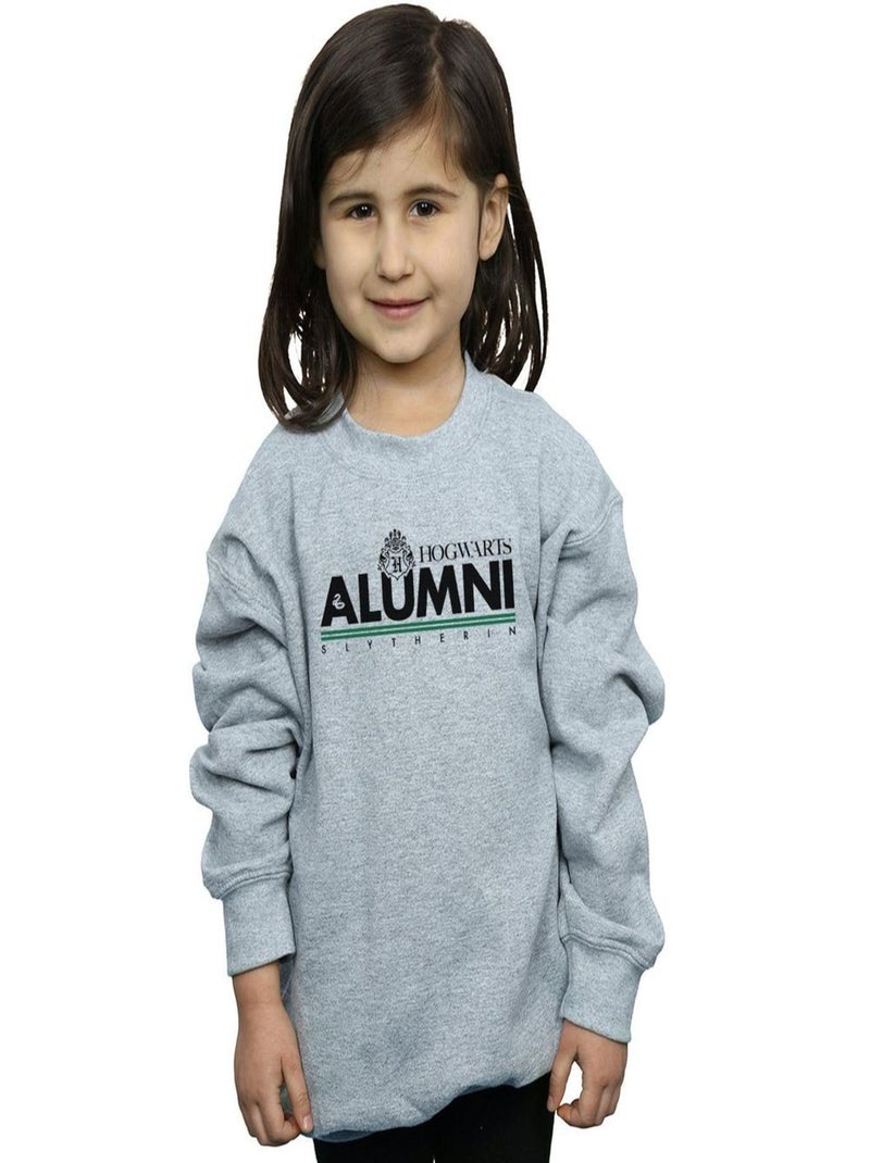 Harry Potter - Sweat HOGWARTS SLYTHERIN Gris chiné - Kiabi